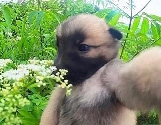 Thumbnail of c8r-crck8lb-45494e033aaa4efd 0