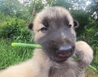 Thumbnail of c8r-crck8lb-45494e033aaa4efd 1