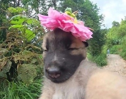 Thumbnail of c8r-crck8lb-45494e033aaa4efd 2