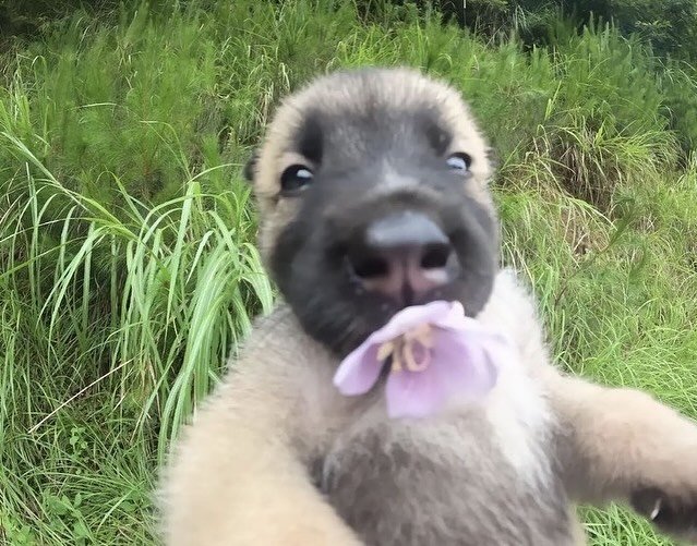 Thumbnail of c8r-crck8lb-45494e033aaa4efd 3