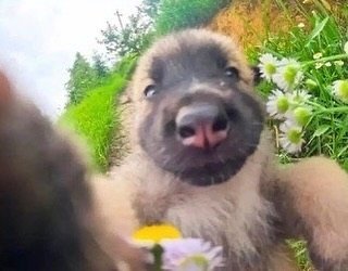 Thumbnail of c8r-crck8lb-45494e033aaa4efd 4