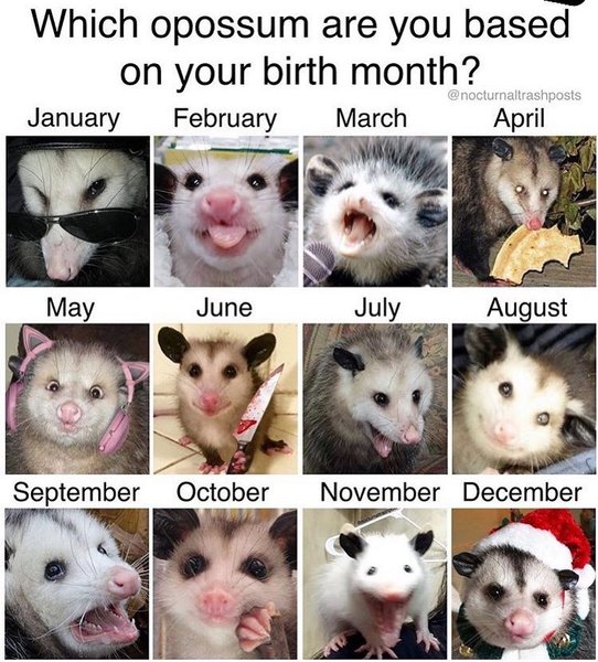 Thumbnail of p-b7wegzzlplr-45679e5d77ab4d39 0