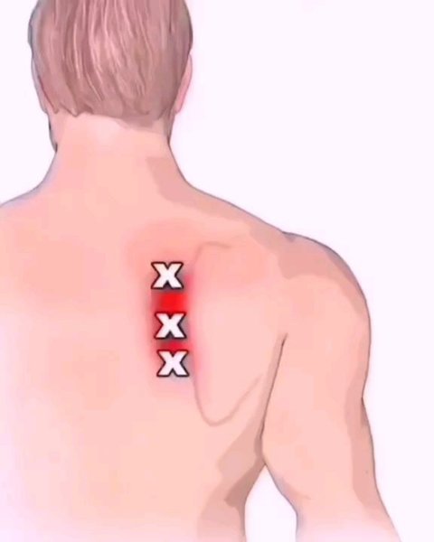 Thumbnail of p-cxyr3xfneai-456e86f1252e48b0 0