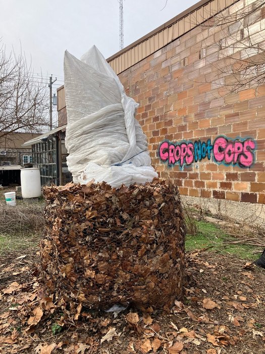 Thumbnail of www-x-com-graffitiradical-status-1636552305716916224-459bfad2f6544a51