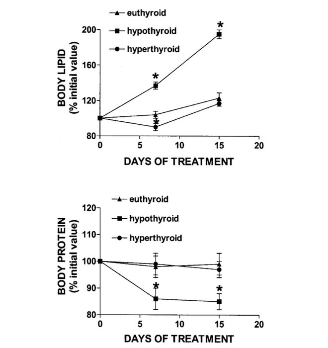 Thumbnail of www-x-com-lowmegatron-status-1956082289642746042-45c3228d9bd34ca3