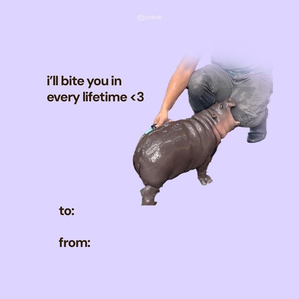 Thumbnail of p-daveyalsmzw-45c9e2ecd9604f3a 0