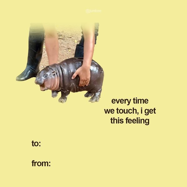 Thumbnail of p-daveyalsmzw-45c9e2ecd9604f3a 1