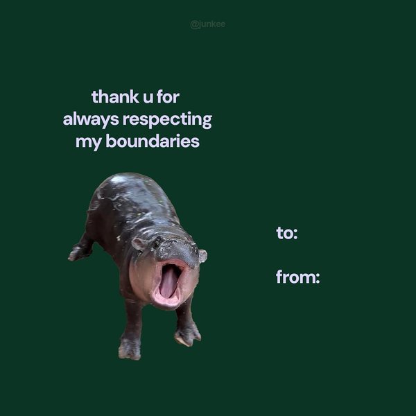 Thumbnail of p-daveyalsmzw-45c9e2ecd9604f3a 4