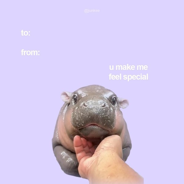 Thumbnail of p-daveyalsmzw-45c9e2ecd9604f3a 5