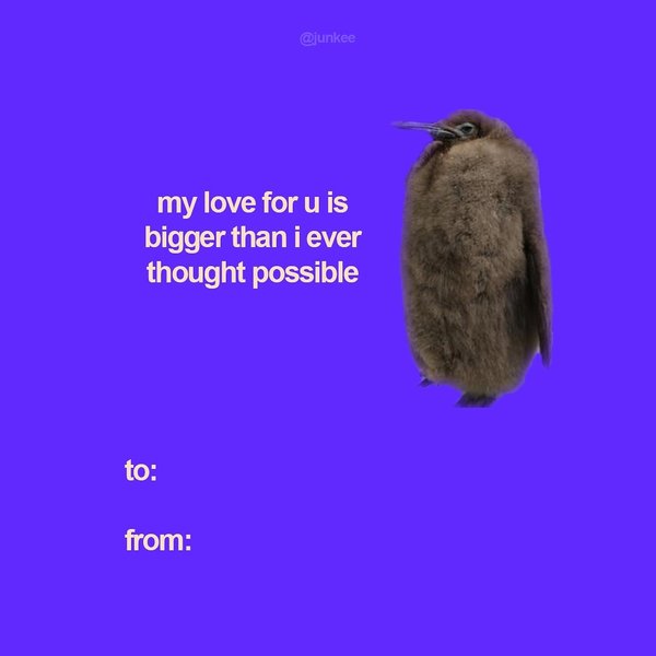 Thumbnail of p-daveyalsmzw-45c9e2ecd9604f3a 7