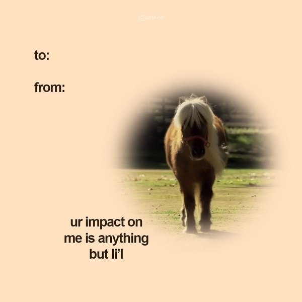 Thumbnail of p-daveyalsmzw-45c9e2ecd9604f3a 8