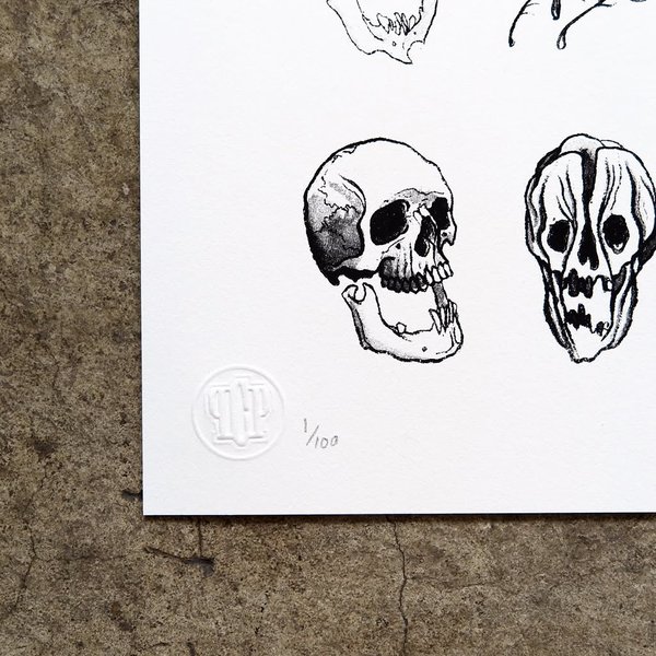 Thumbnail of p-bxtkwx8npkq-463284db33624018 2