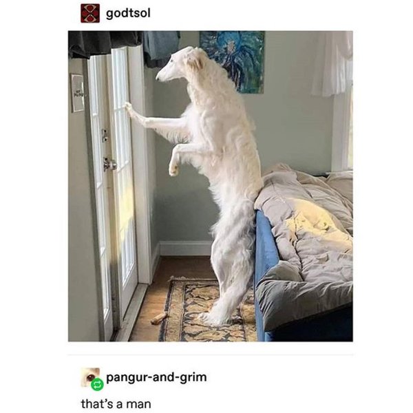 Thumbnail of p-bz6murdnpfq-4664efa7b48f437b 0