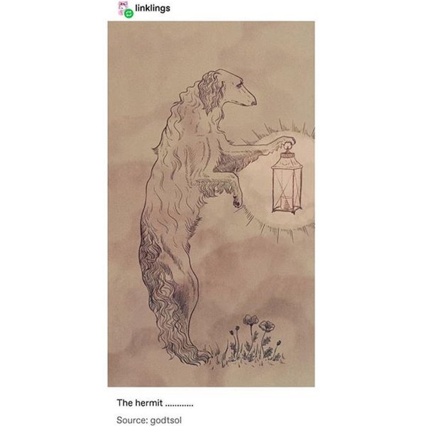 Thumbnail of p-bz6murdnpfq-4664efa7b48f437b 1