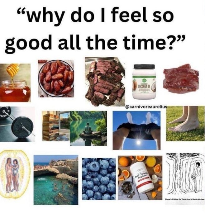 Thumbnail of www-x-com-alpacaaurelius-status-1863262098484044059-467af0e1379940bf