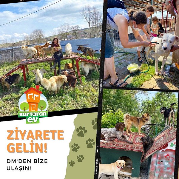 Thumbnail of cfwh-ks6fg-46b243fede6a48c4 0