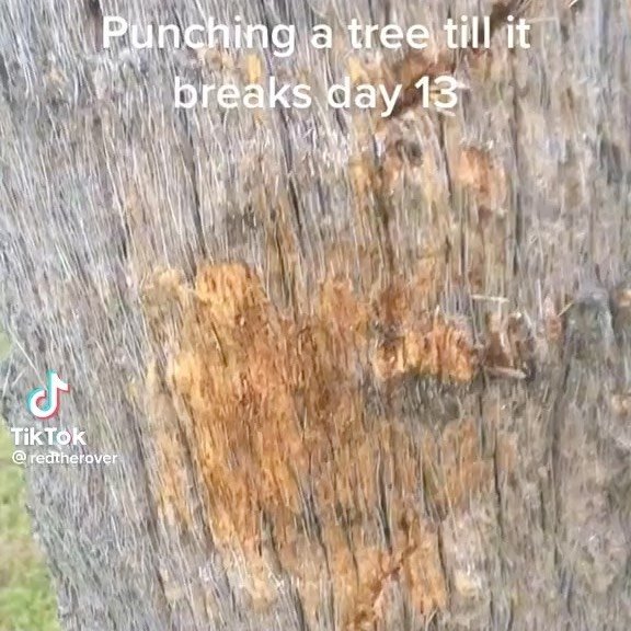 Thumbnail of p-cn7pbkqsnt1-46c140b216e34061 1