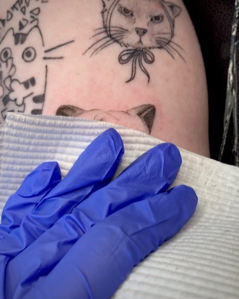 Thumbnail of cvqnq0usi-p-46c1b83f881340dc 1