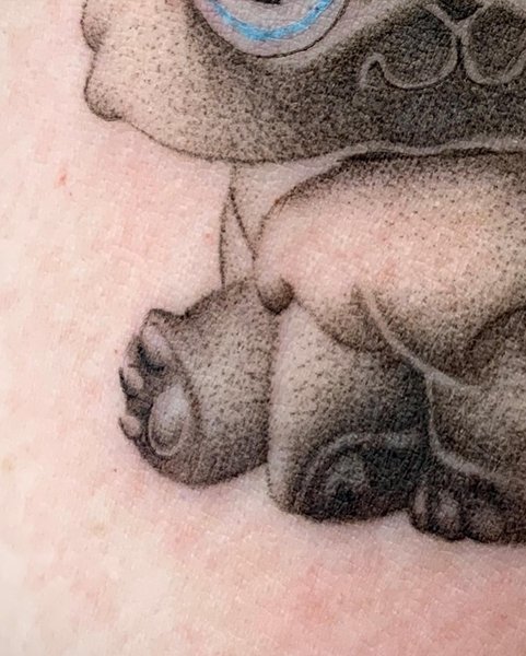 Thumbnail of cvqnq0usi-p-46c1b83f881340dc 2