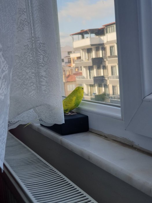 Thumbnail of www-x-com-elmadusmeseydi-status-1875960095244456249-46c800ca043a4ff2