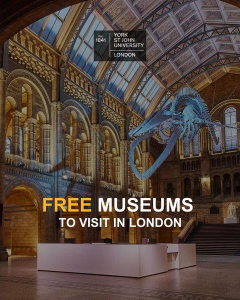 Thumbnail of p-c2sqnwitf2e-470d8025e58943f3 0