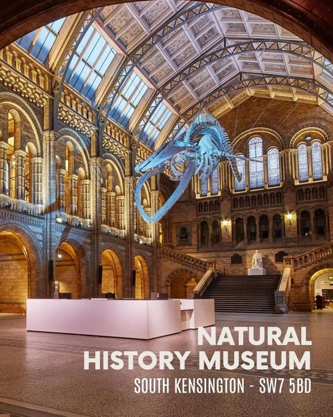 Thumbnail of p-c2sqnwitf2e-470d8025e58943f3 3