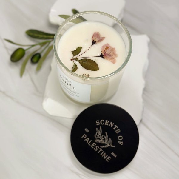 Thumbnail of da-wsvppakm-47529723852a482b 0