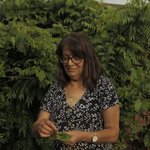 Thumbnail of Siham @sahtein_lebanesefeasts