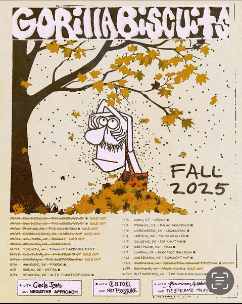 Thumbnail of p-dqkj2y9ivmn-47a73b48088140a3 1