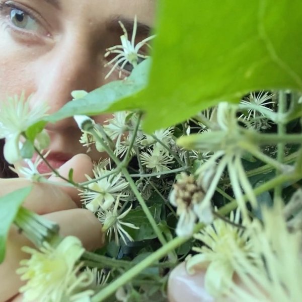 Thumbnail of cdwde2mh-bk-47e832a82c694bfe 3