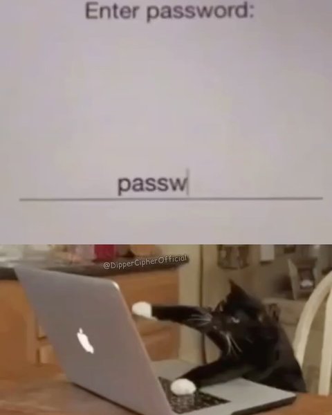 Thumbnail of p-ddkfnhmx3gq-480ceb83ee2c455c 5