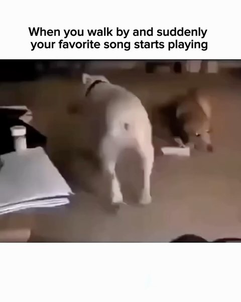 Thumbnail of p-ddkfnhmx3gq-480ceb83ee2c455c 6