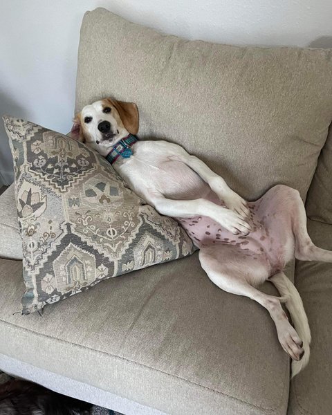 Thumbnail of p-ctkqyacj38c-48192fbb3c0144d2 0