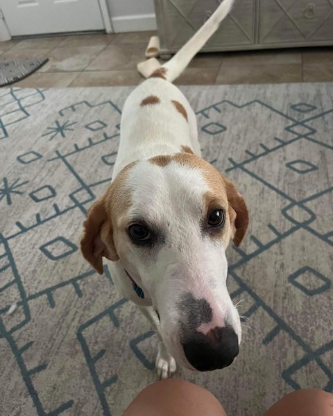 Thumbnail of p-ctkqyacj38c-48192fbb3c0144d2 1