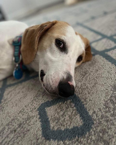 Thumbnail of p-ctkqyacj38c-48192fbb3c0144d2 2