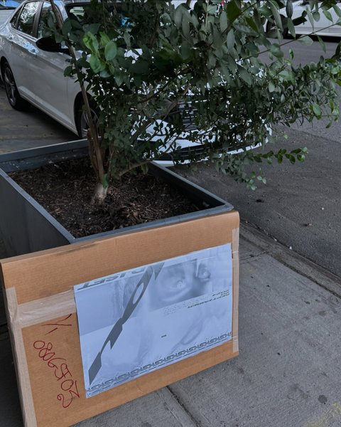 Thumbnail of c-58hazsq4y-48523bf1f60e487c 6