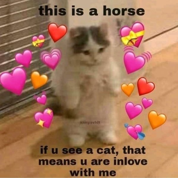 Thumbnail of p-cnviqotfeul-48b5331046164d36 0