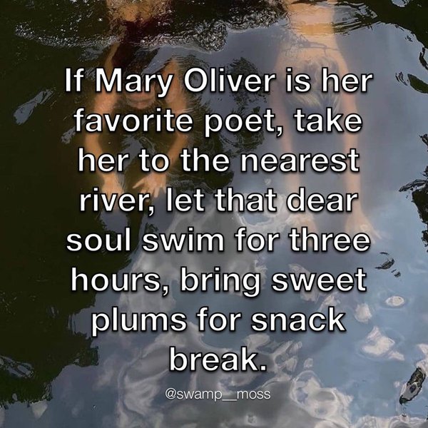 Thumbnail of p-cdqjm6dlbgd-48b7dc288a8f4380 0