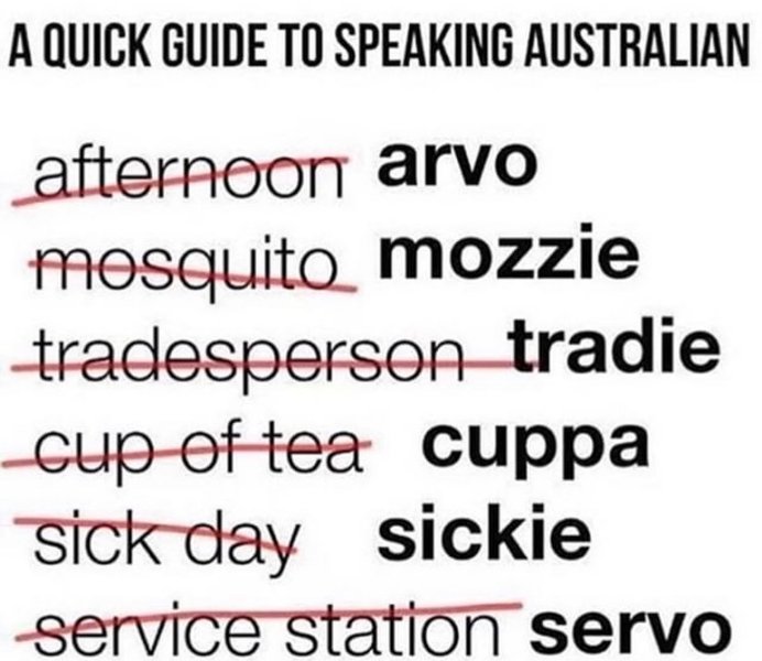 Thumbnail of p-bzorf9yltz5-48b94a17b067429a 0