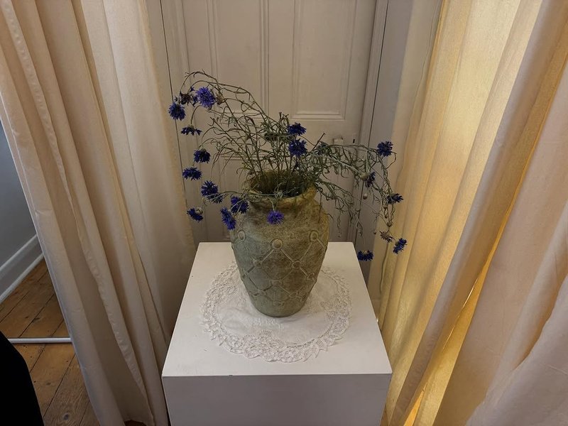 Thumbnail of www-instagram-com-p-dok4c07kq1q-img-index-3 0