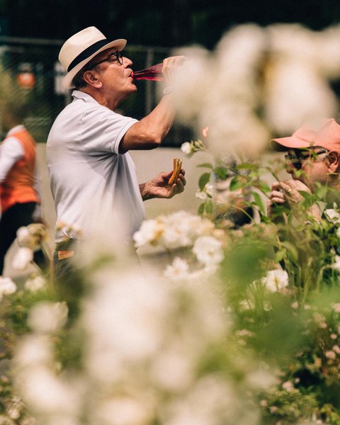 Thumbnail of cd-9qjqskn1-48e79c8f3a8048a3 1