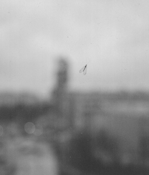 Thumbnail of p-cswcbdgiga4-492ce56c3ec548e0 0