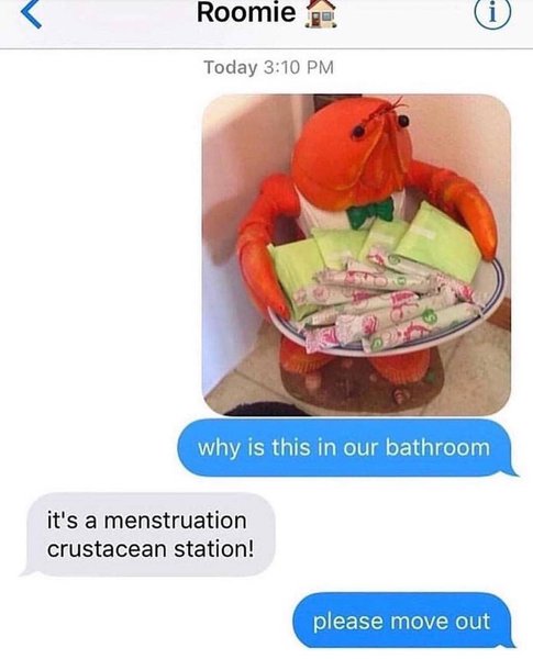 Thumbnail of p-bwvq6myfdnp-496e379f6bd54d73 2