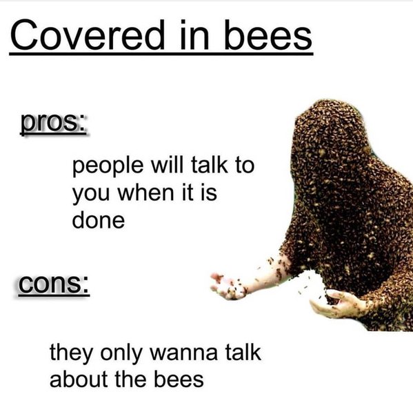 Thumbnail of p-b0edjc2l6yg-497be2b860c540d3 0