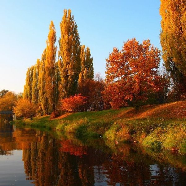 Thumbnail of p-bptvol0fvyx-49816d92c81f4742 0