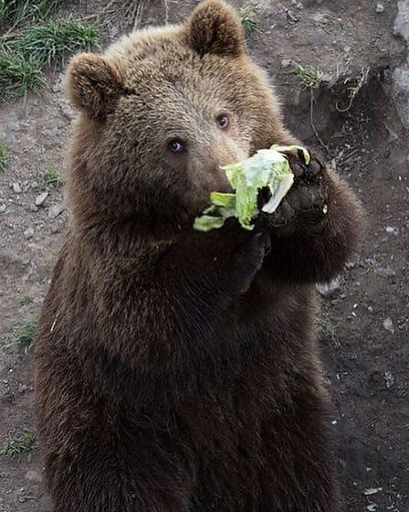 Thumbnail of p-cejgl1bgyee-49c6e342f35b4ee3 0