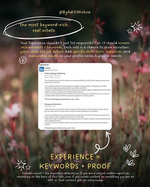 Thumbnail of p-do5vitrjb7j-49c80985db9b4c25 3