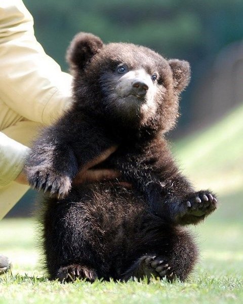 Thumbnail of p-cdhkhoqgin-4a3dea1608d44cfe 0