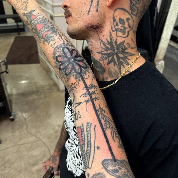 Thumbnail of p-da5kerrnww6-4ae77f3a2fe64e5b 0