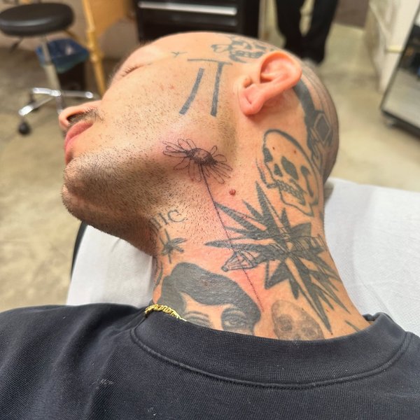 Thumbnail of p-da5kerrnww6-4ae77f3a2fe64e5b 4